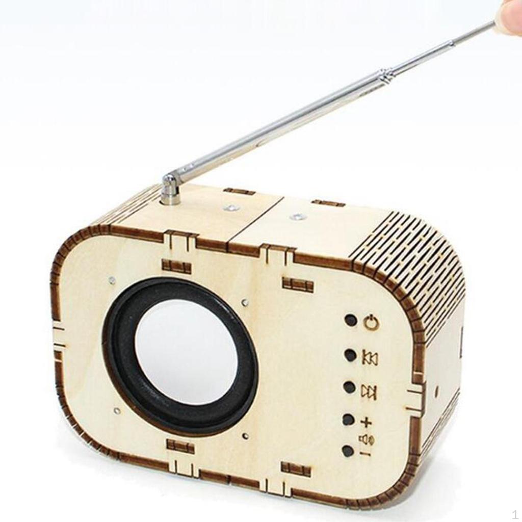 Scientific Experiment DIY Radio Model Wooden Educational Puzzle Learning Material Assembly 3D