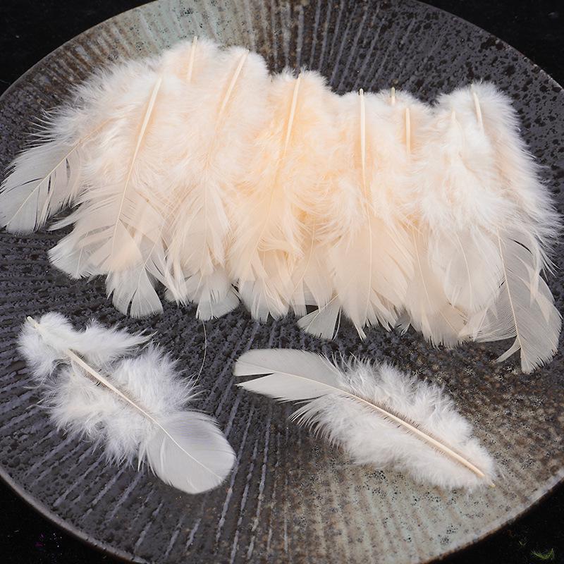 Mixed Color Chicken & Peacock Feathers for DIY Ornaments, Handicrafts, and Handmade Clothing Accessories.