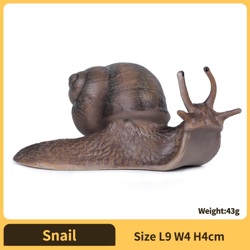 

Realistic Snail Action Figure Toy - Collectible Animal Model, Educational Kids Gift