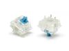 FILCO CHERRY MX2A RGB 5-Pin Switches, Blue, Pack of 70, for RGB Keyboards with Clear Cases (FKSW70CHMC-RZ)