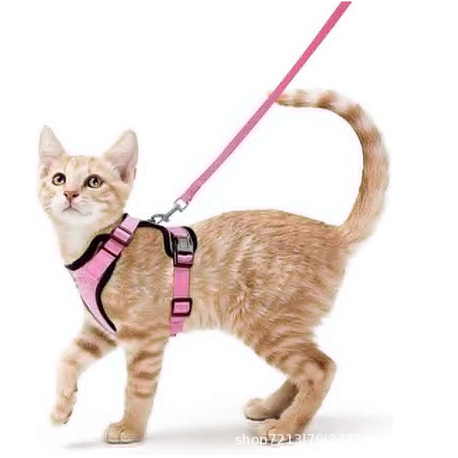 Reflective Cat & Small Dog Breathable Anti-Breakaway Chest Harness with Walking Rope