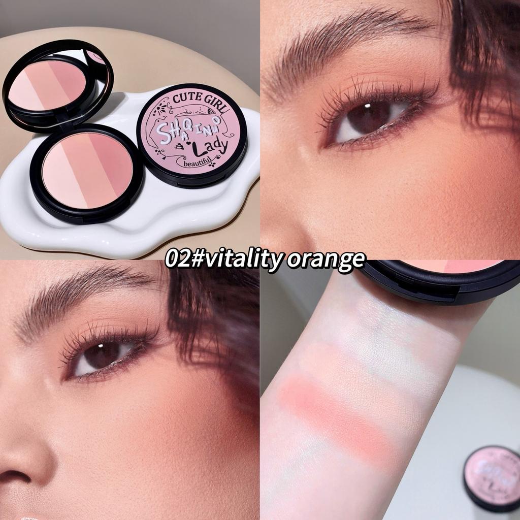 Three-color Blush SHAQINUO Matte Pearlescent Contouring and Long-lasting Powder Delicate Three-Color Rouge