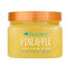 Shea Sugar Scrub 510g 1 Pack Pineapple Tree Hut Pineapple Shea Sugar Scrub, Exfoliating