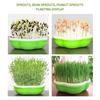 Hydroponic Peanut Sprout Germination Box Seedling Tray Planting Pot for Bean Sprouts - Gardening Tool for Home Farming