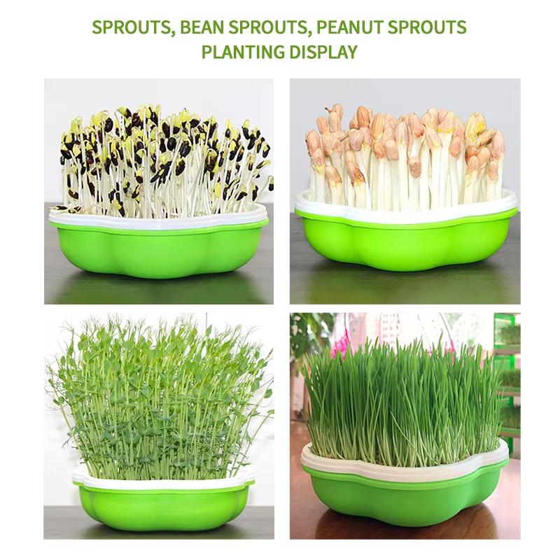 Hydroponic Peanut Sprout Germination Box Seedling Tray Planting Pot for Bean Sprouts - Gardening Tool for Home Farming
