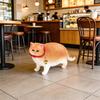 Children's Realistic Plush Cat Models: Bell, Fat, Orange, Farm, Hairless & Blue Cat - Cat Story Series