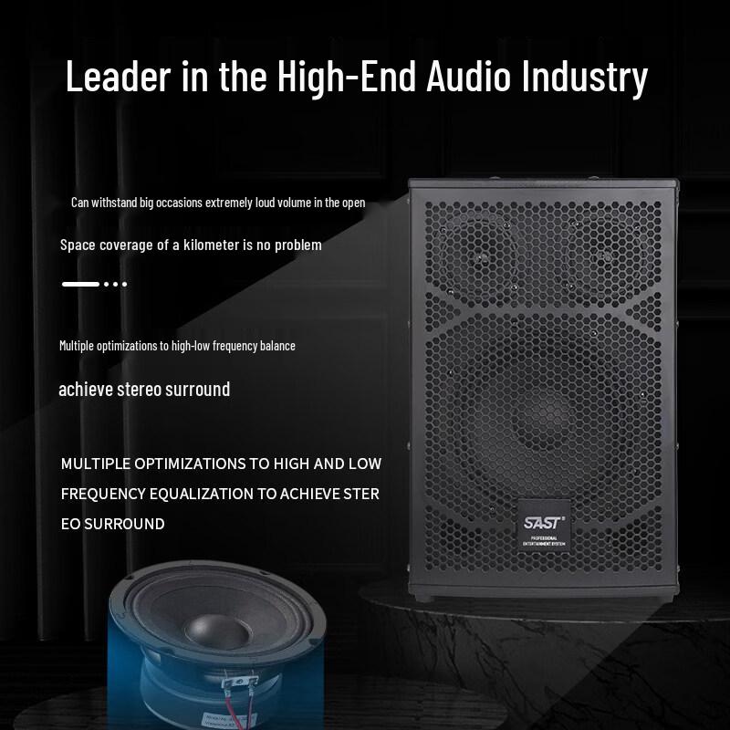 SAST H8 8-inch Audio System with Amplifier & Dual Mics (CN version)