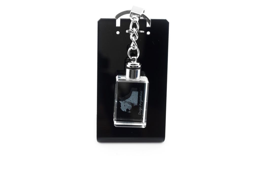 Dogo Argentino - Crystal Key Ring with Dog Photo, Illuminated Key Ring, Unique Gift by Art-Dog Brand