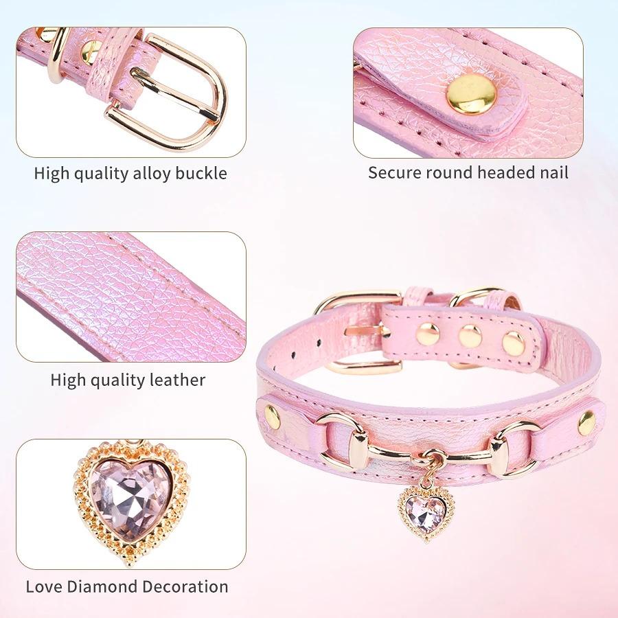 Articles for Dogs Pet Dog Accessories Collar Leash Trainings Supplies Luxury Material Small Harness Collars Large Pets Leather