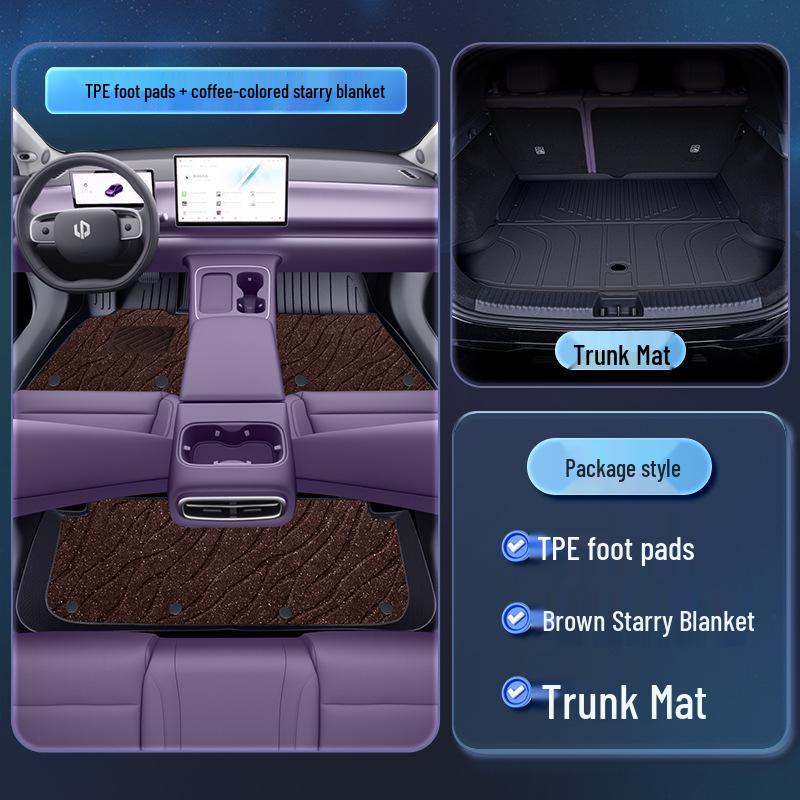 Leapmotor C10 TPE2026 Floor Mats - Complete Set for New Car Interior