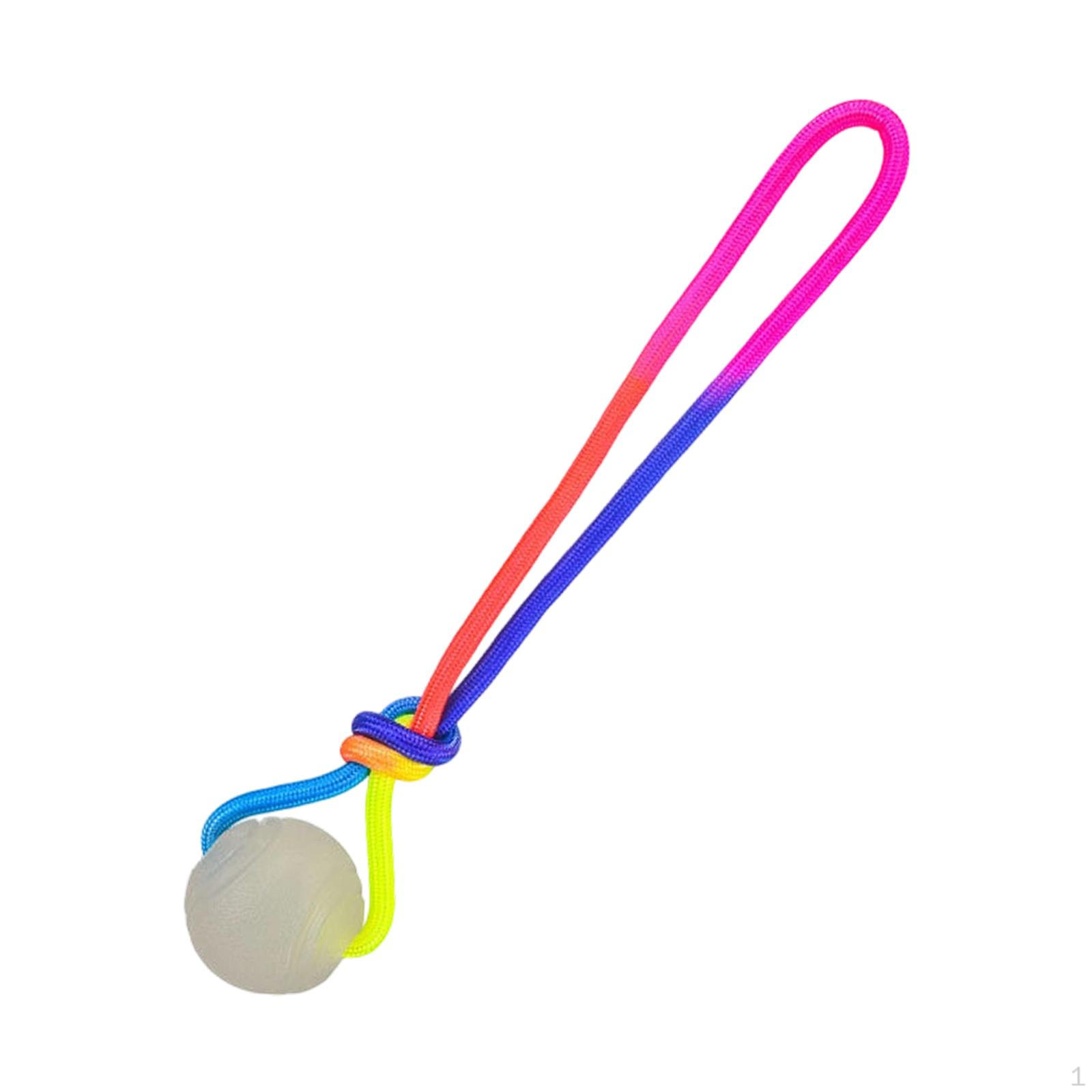 

Dog Training Ball on Rope Toy Fit Small Medium Large Dogs, Soft, Exercise and Reward 5cm