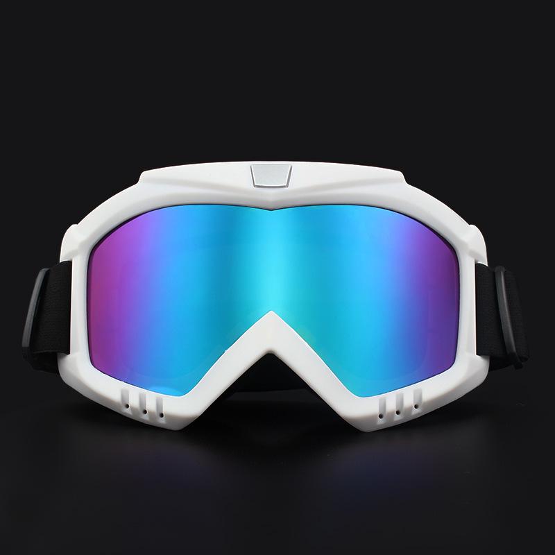 Wielofunkcyjne wiatroodporne gogle do sportów śnieżnych, motocyklizmu i dla zwierząt