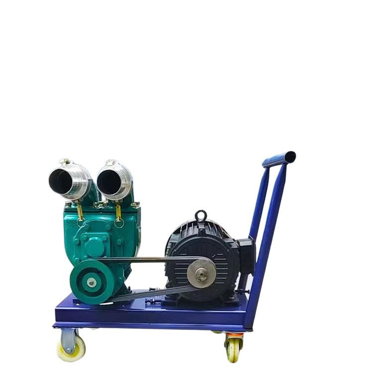 Durable Farmland Irrigation and Sludge Pump for Livestock and Sewage Discharge