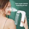 Compact Ionic Facial Steamer: Deep Cleanse & Hydrate Anywhere