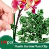 100pcs Plastic Garden Plant Clips, Dark Green & Coffee Brown Support Clips for Orchids,Safe Upright Plant Growth Gardening Tools