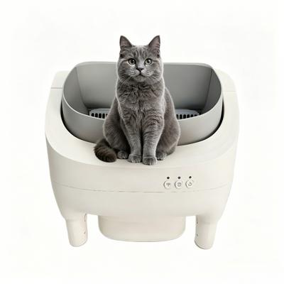 Gatti – Prodotti per la cura dei gatti