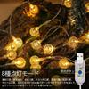 Topamz LED Illumination Light, 10m, 80 Lights, USB Powered, 8 Dimmable Modes, Water-Resistant and Dustproof, for Indoor and Outdoor Use, Garden and
