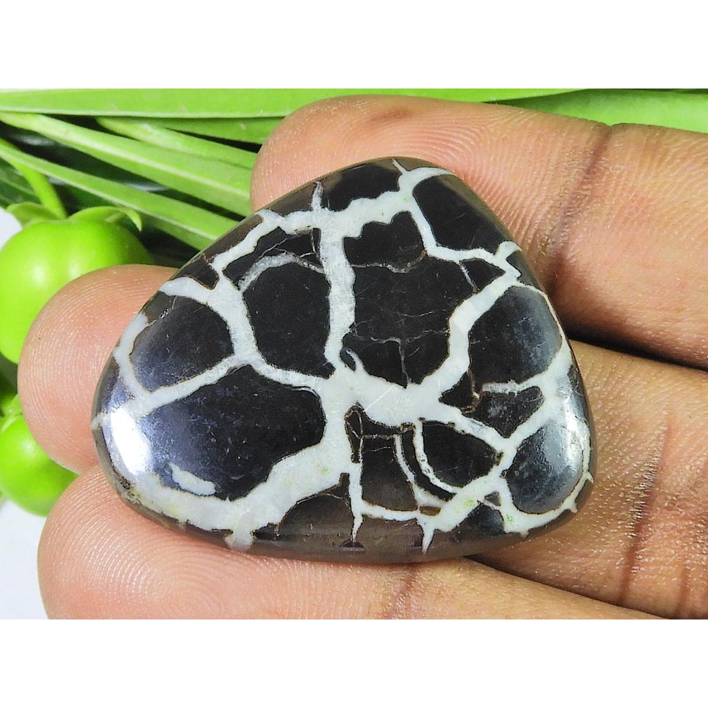 AAA Natürlicher Septarien Schmuckherstellung Ausgefallener Schwarzer Kristall Edelstein 30X36X06MM SK-866