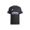 T Shirts Men's Black Crew Neck Moderate Straight Fit IP3779