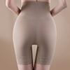 Shapers Tummy Control Underwear Mesh Flower Butt Lifting Briefs Body Shaping Underpants  Women