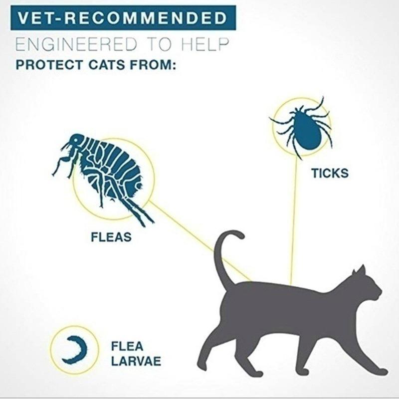 flea collar in vacuum