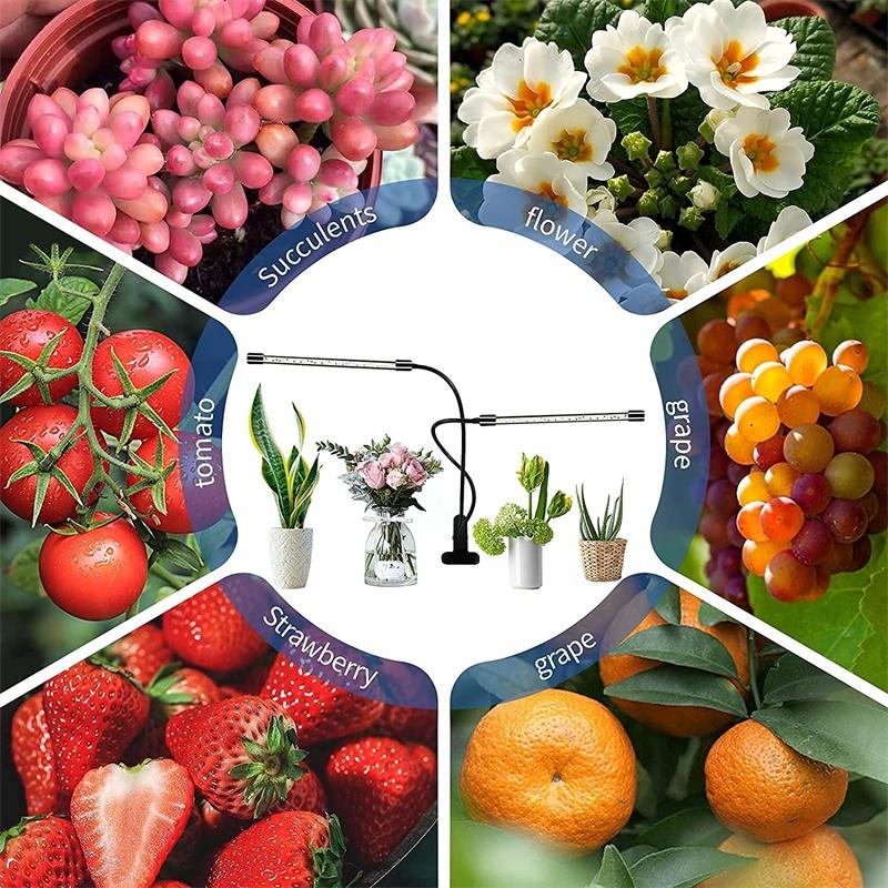 Full Spectrum Multi-Head LED Grow Light Clip Light USB DC 5V For Plants Sunshine Light LED Plant Lamps Waterproof