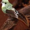 12pcs/box Handmade Simulation Pearl Hair Bird Creative Feather Bird With Claw Iron Wire Garden Decoration