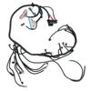 Automotive Stand Alone Wire Harness T56 DBC Drive By Wire for LS Engine 4.8 5.3 6.0