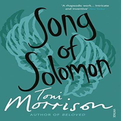 Song of Solomon door Toni Morrison Paperback Boek 9780099768418