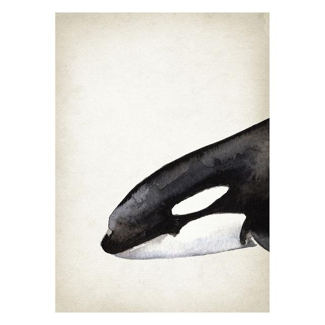 Marine Animals Canvas Paintings Great White Shark Posters and Prints Killer Whale Wall Art Picture for Home Decoration No Frame