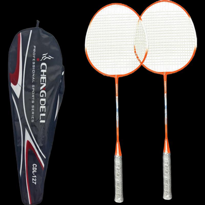 Longchan Badminton Racket Set for Beginners