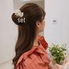 2025 Pearl Flower Bun Hair Tool: Stylish Korean Updo Accessory for Women