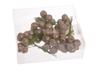15mm Balls In a Bunch of 72 Pieces, Gold 158CAN05-15_S