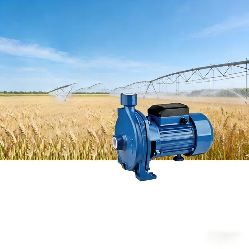1INCH 24V 48V 4m³/h High Flow DC Brushless Self-Priming Water Pump for Agriculture Irrigation Max Head 30M Suction 8M