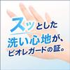 Kao Biore Guard Medicated Foaming Hand 250ml Bottle 400ml Refill Set Soap, Unscented, +