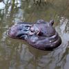Funny Floating Hippopotamus Ornaments Resin Craft Animal Figurines Decoration  Garden Lawn Pond