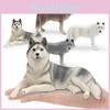 Wild Animal Wolf Model Pvc Toy For Children Educational Display And Collection