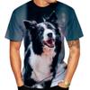 Border Collie 3D Printed Men's Summer Fun Haarajuk T-shirt