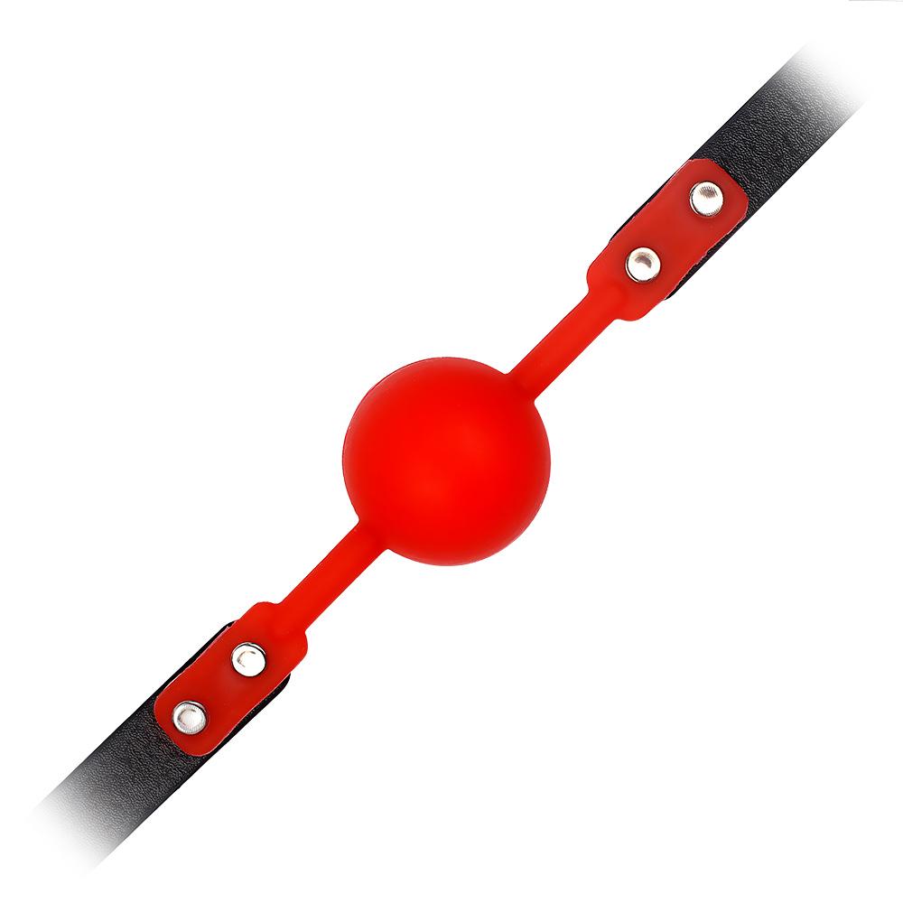 Silicone SM Flirting Discipline Gag Toy