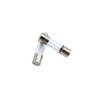 SIXQJZML 10 Pack F2AL Fast-Blow Fuse 2A 250V Glass Fuses 0.2 x 0.78 inch / 5 x 20 mm (2amp) (F2A)