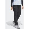 Брюки Adidas TERREX W MT ZIP OFF P Outdoorhose (KW7468) Черный/разноцветный