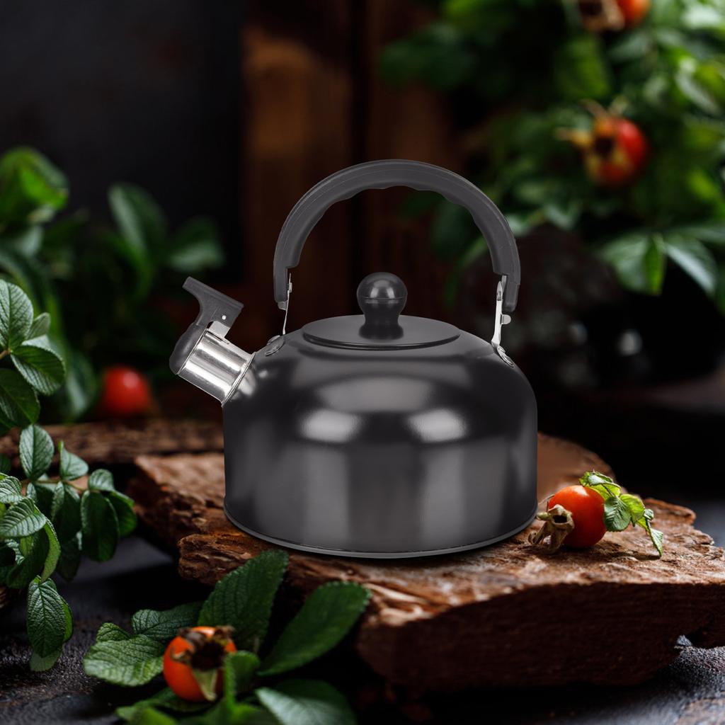 Stainless Steel Whistling Tea Kettle with Handle Large Capacity Stovetop Teapot Automatic Whistle Safe White Travel