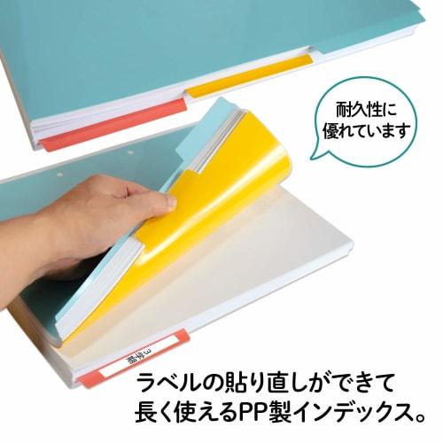 Plus Index Sheet PP 2 Holes A4 Vertical 3 Threads 1 Set FL-201IS 84-841ÁE0