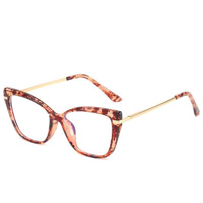 Brillen & Accessoires