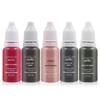 Gangya Semi-Permanent Makeup Pigment for Brows, Lips & Eyeline - Beginner Kit