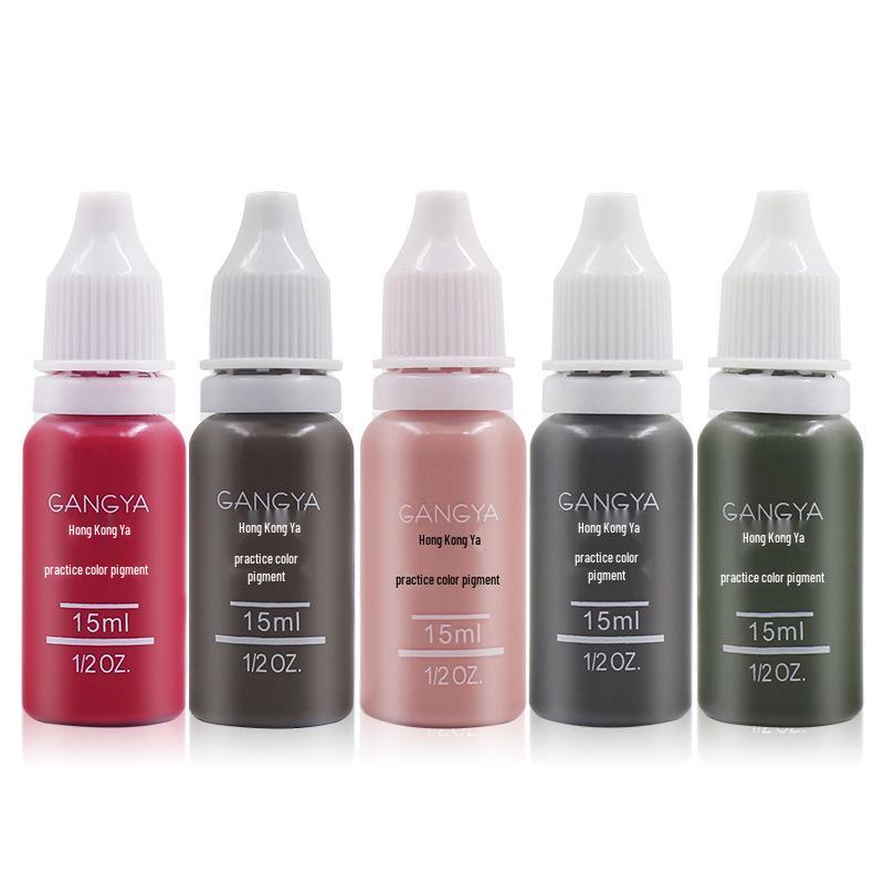 Gangya Semi-Permanent Makeup Pigment for Brows, Lips & Eyeline - Beginner Kit