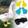 Anti-Slip Footwear Outdoor Walking Duck Paw Protectors Pet Supplies Duck Booties Pet Duck Shoes