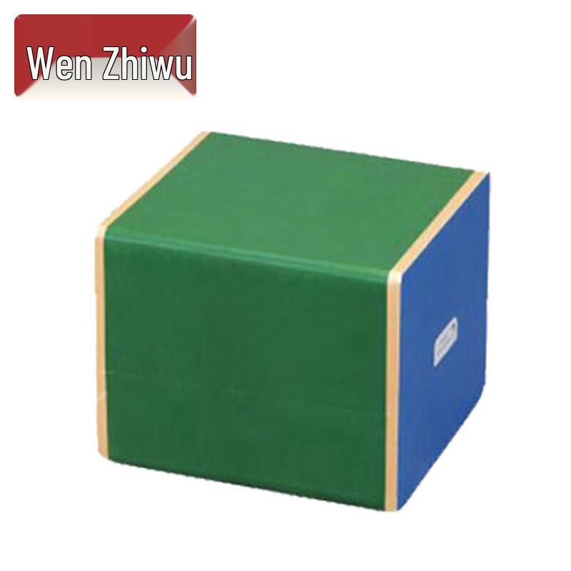 Wen Zhi Wu Student Physical Fitness Testing Equipment