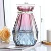 European-Style Hydroponic Pothos Vase with Dried Flowers for Living Room Decor