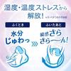 Bioré Zero Sheets Gentle Soap Scent 20 Antiperspirant Deodorant
